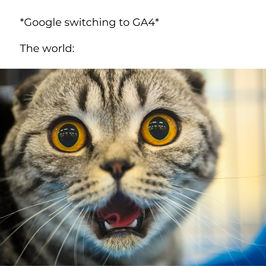 DBE GA4 Surprise Cat Blog Meme Text: "*Google switching to GA4* The world:" Underneath, is a picture of a cat with a look of surprise